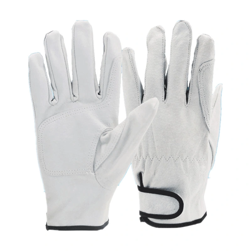 White Elastic piglet skin Driver's Riding Gloves with Adustable Wrist Reinforced Palm+thurm+index Finger